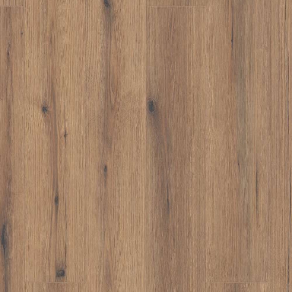 Picture of Shaw Floors - Emergence Plus Pioneer