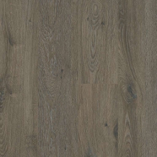 Picture of Shaw Floors - Excalibur Plus Ashlee Gray