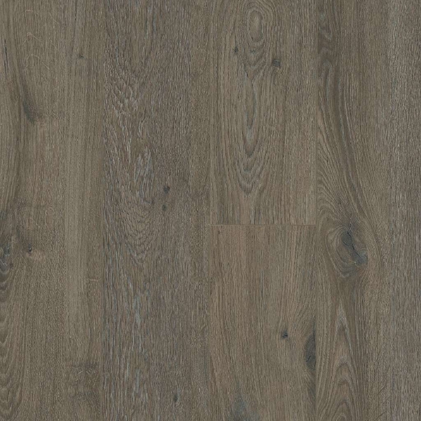 Picture of Shaw Floors - Excalibur Plus Ashlee Gray