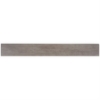 Picture of SOHO Studio Corp - Stacy Garcia Artwood 6 x 48 Dolphin