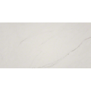 Picture of MS International - Aria 24 x 48 Ice