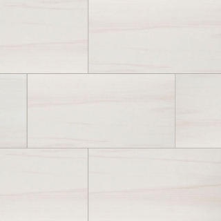 Picture of MS International - Eden 12 x 24 Matte Dolomite
