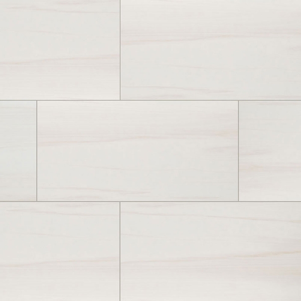 Picture of MS International - Eden 12 x 24 Matte Dolomite