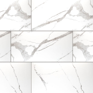 Picture of MS International - Eden 12 x 24 Matte Statuary