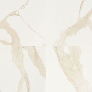 Picture of MS International - Eden 24 x 24 Matte Calacatta