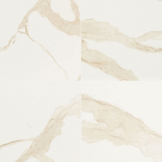 Picture of MS International - Eden 24 x 24 Polished Calacatta