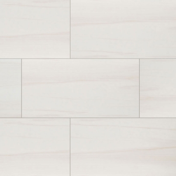 Picture of MS International - Eden 24 x 48 Polished Dolomite