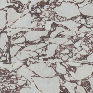 Picture of MS International - Exotika 24 x 48 Violetta