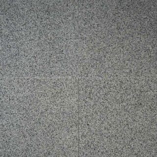 Picture of MS International - Granite 12 X 12 Bianco Catalina