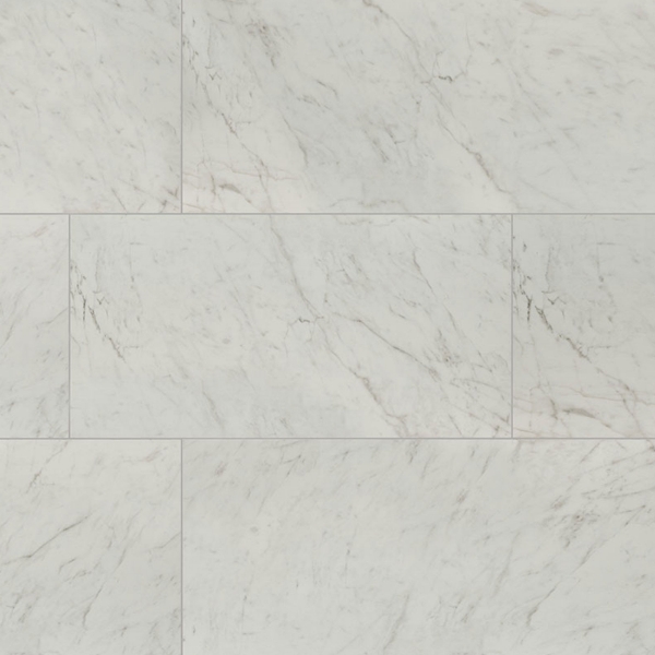 Picture of MS International - Kaya 24 x 48 Carrara-Bianco Polished