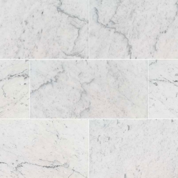 Picture of MS International - Marble 12 x 24 Polished Carrara White