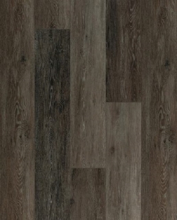 Picture of Gluck GmbH Corp. - Evolution Bremen Brown