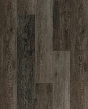 Picture of Gluck GmbH Corp. - Evolution Bremen Brown