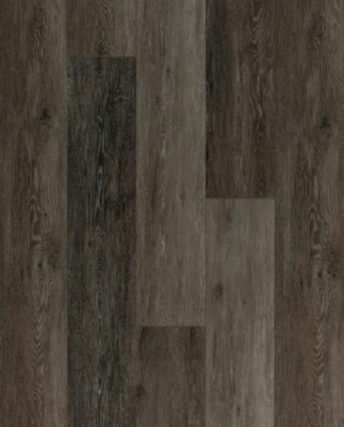 Picture of Gluck GmbH Corp. - Evolution Bremen Brown