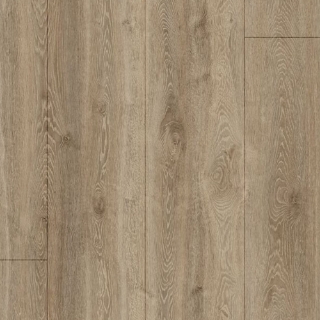 Picture of tmbr. - Trailhead TimberTru Biltmore