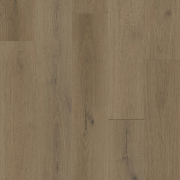 Picture of Southwind - Boundless SPC Forest