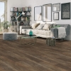 Picture of Southwind - Equity Plank Beaver