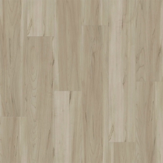 Picture of Southwind - Panoramic Sugar Maple