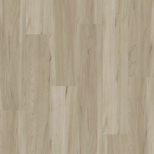 Picture of Southwind - Panoramic Sugar Maple