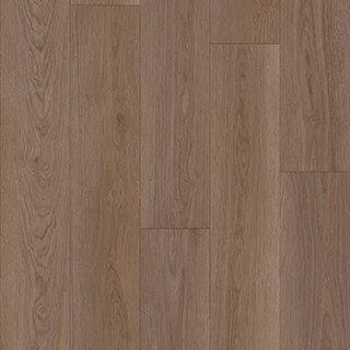 Picture of Southwind - Panoramic Tawny Oak
