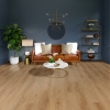 Picture of Southwind - Resurge Tremont Oak