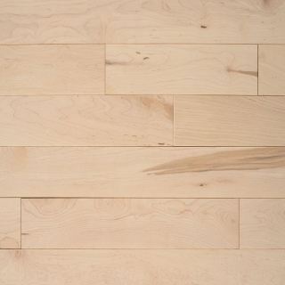 Picture of Appalachian Flooring - Verita Engineered 5 - 1/2 Poesia Hard Maple Excel