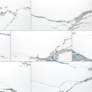 Picture of MS International - Savoy 12 x 24 Polished Azula