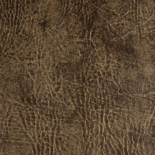 Picture of EcoDomo - Echelon Engineered 18 x 18 Truffle Buffalo