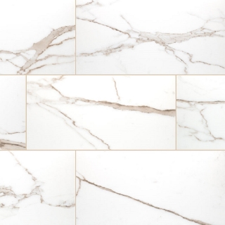 Picture of MS International - Savoy 24 x 48 Polished Crema