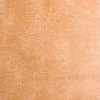 Picture of EcoDomo - Echelon Engineered 18 x 18 Champagne Buffalo