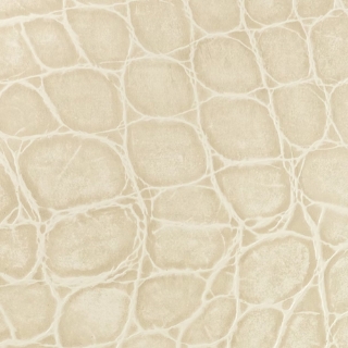Picture of EcoDomo - Echelon Engineered 18 x 18 Paloma Grey Jumbo Croc