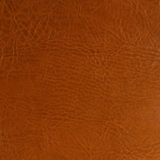 Picture of EcoDomo - Echelon Engineered 7.5 x 45 Gingerbread Buffalo