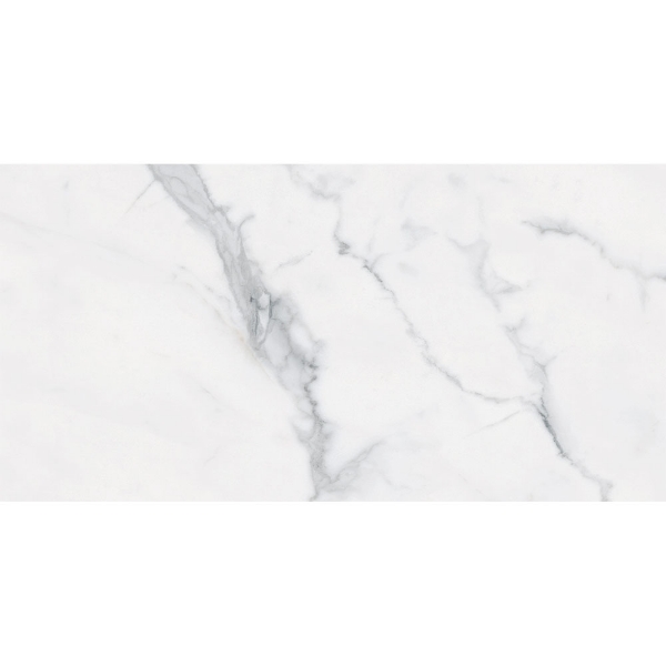 Picture of Roca - Bianco Venatino II 12 x 24 Matte Bianco Venatino