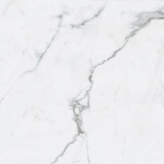 Picture of Roca - Bianco Venatino II 24 x 24 Matte Bianco Venatino