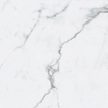 Picture of Roca - Bianco Venatino II 24 x 24 Matte Bianco Venatino