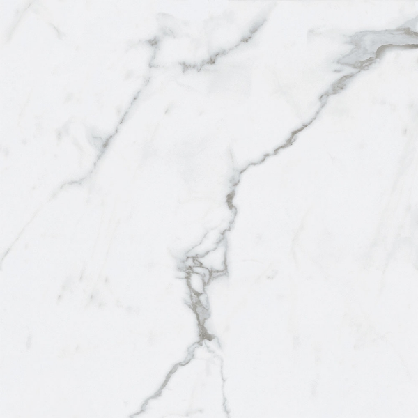 Picture of Roca - Bianco Venatino II 24 x 24 Matte Bianco Venatino