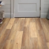 Picture of Shaw Floors - Dockside Cady Cove