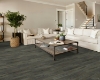 Picture of Shaw Floors - Pantheon HD Plus Temporale