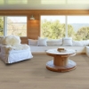 Picture of Shaw Floors - Starting Line Serene Greige