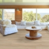 Picture of Shaw Floors - Starting Line Sunlit Beige