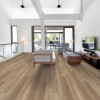 Picture of Shaw Floors - Starting Line Antique Copper