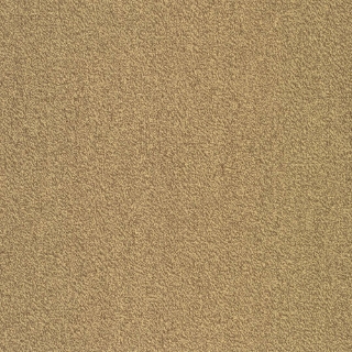 Picture of Patcraft - Color Your World Color Paper