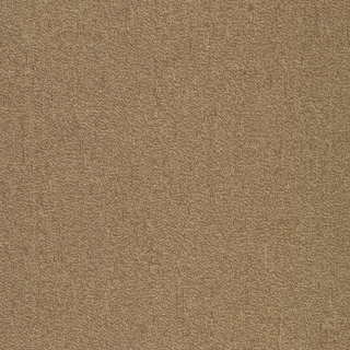 Picture of Patcraft - Color Your World Color Scale