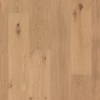 Picture of Shaw Floors - Perspectives Harmony