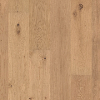 Picture of Shaw Floors - Perspectives Harmony
