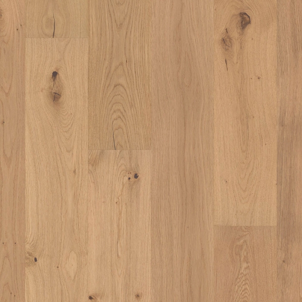Picture of Shaw Floors - Perspectives Harmony