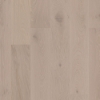 Picture of Shaw Floors - Perspectives Melody