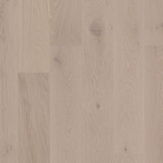 Picture of Shaw Floors - Perspectives Melody