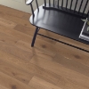 Picture of Shaw Floors - Perspectives Watercolor