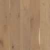 Picture of Shaw Floors - Perspectives Alla Prima